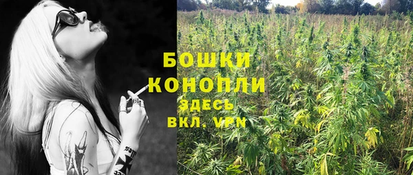 дурь Кинешма