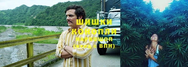 мяу мяу мука Козельск