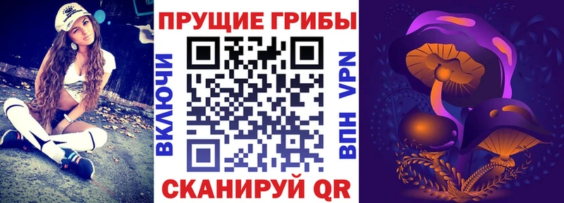 Купить закладки  Енисейск  Псилоцибиновые грибы Psilocybine cubensis 