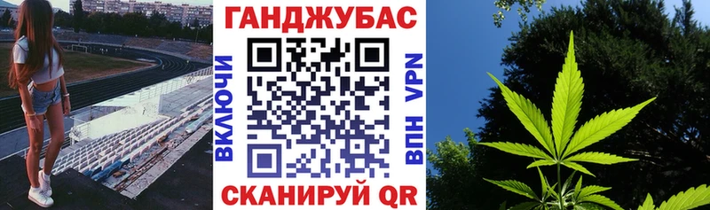 Конопля индика  Купить где  Енисейск 